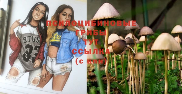 крисы Абинск