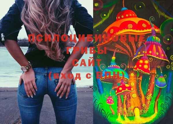 прущий лед Абаза