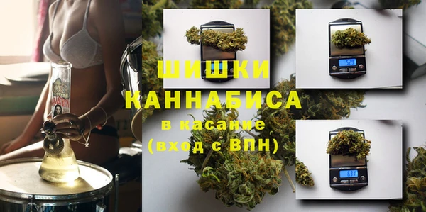 стаф Алзамай