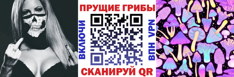 купить наркоту  Новоалександровск  Галлюциногенные грибы ЛСД 