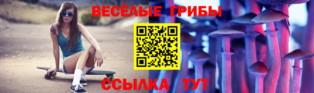 Новоалександровск  Галлюциногенные грибы ЛСД  Вход с VPN 